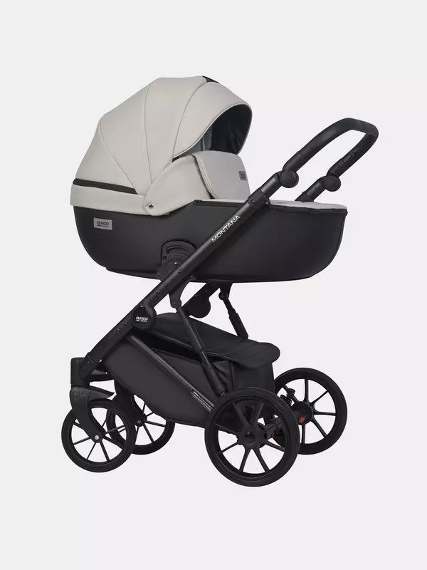 Коляска 2 в 1 Riko Basic Montana Ecco 31 Light Silver-Black