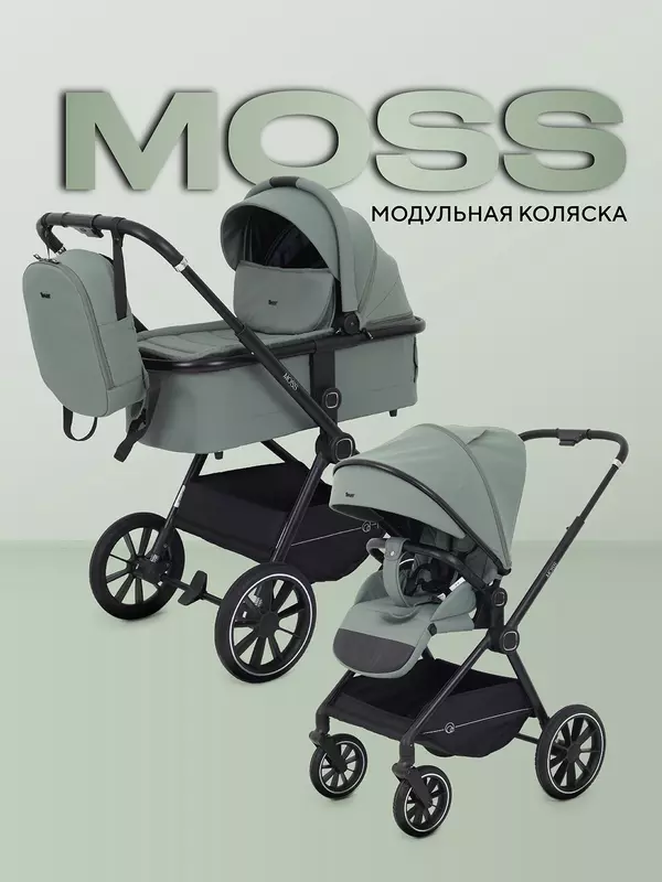 Коляска 2 в 1 Rant Moss 2025 Green